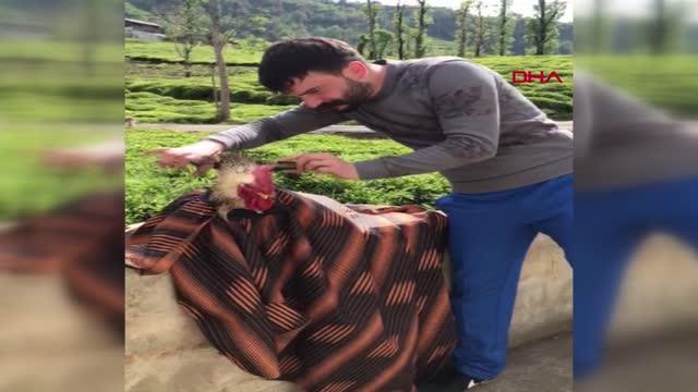 RİZELİ KUAFÖR, HOROZUNU TIRAŞ ETİ