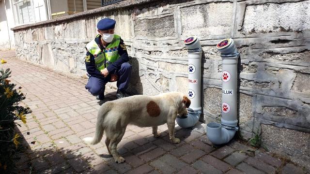 Son dakika haberi | Nazilli Jandarma Timlerinden 'Bir Kap Can' projesi