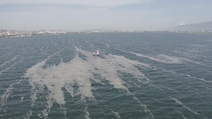 İzmit Körfezi'nden 100 ton deniz salyası temizlendi