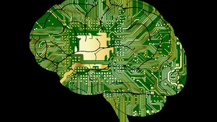 Electromagnetic Materials