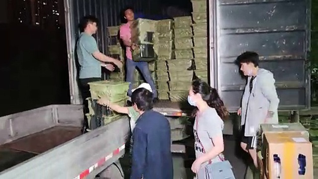 China: Entsetzen über Überraschungs-Boxen mit Welpen