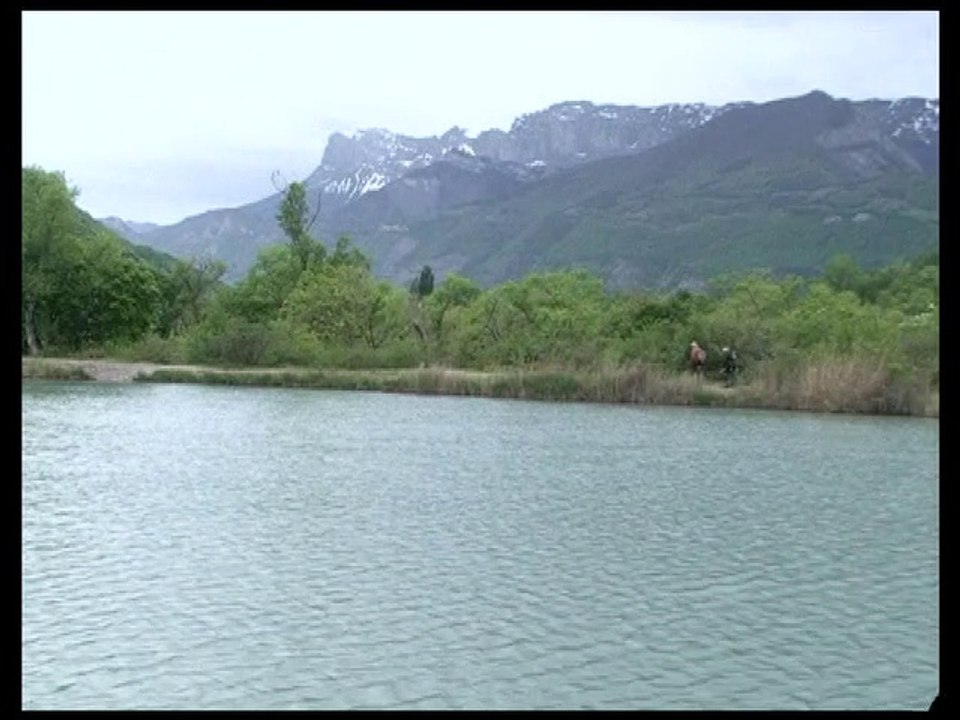 Flâneries autour des Etangs de Vif 38450