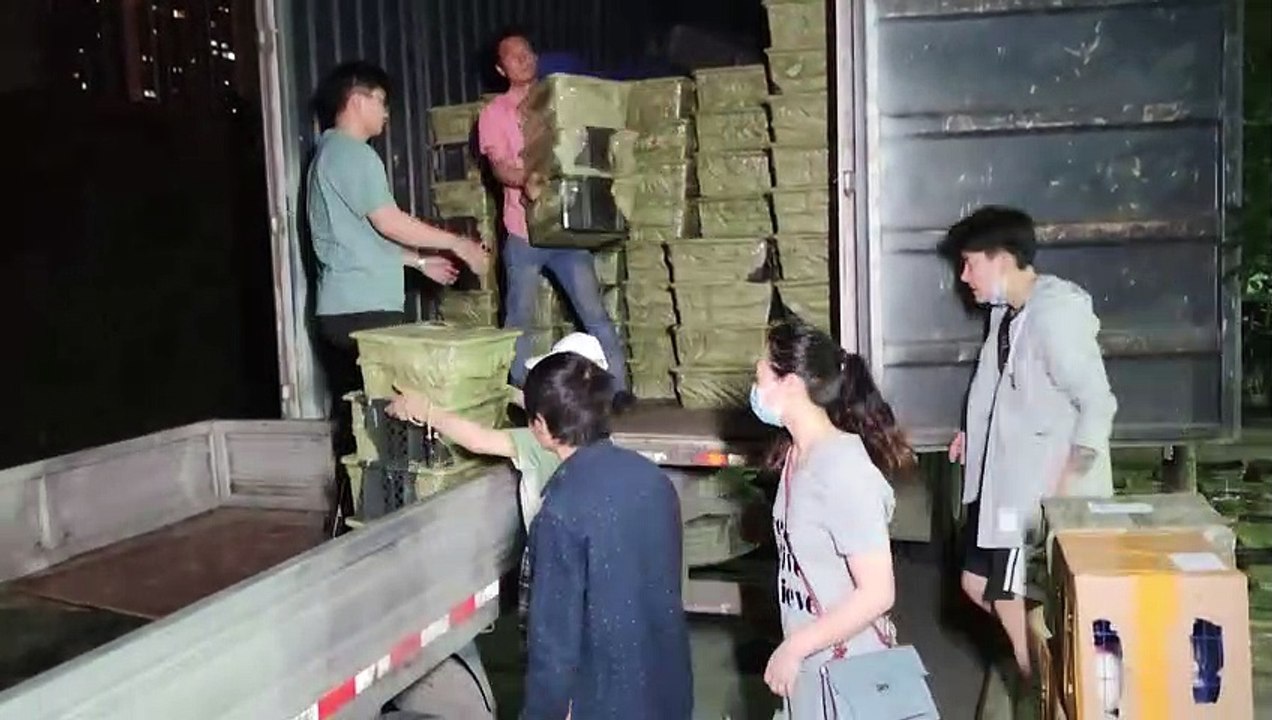 China: entsetzen über Überraschungs-boxen mit welpen