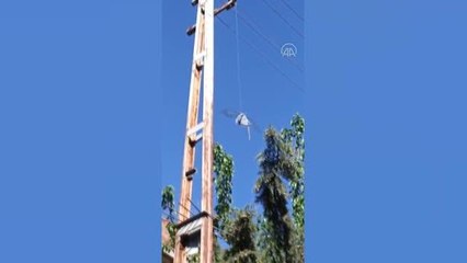 Ayakları ipe dolanan güvercini itfaiye kurtardı