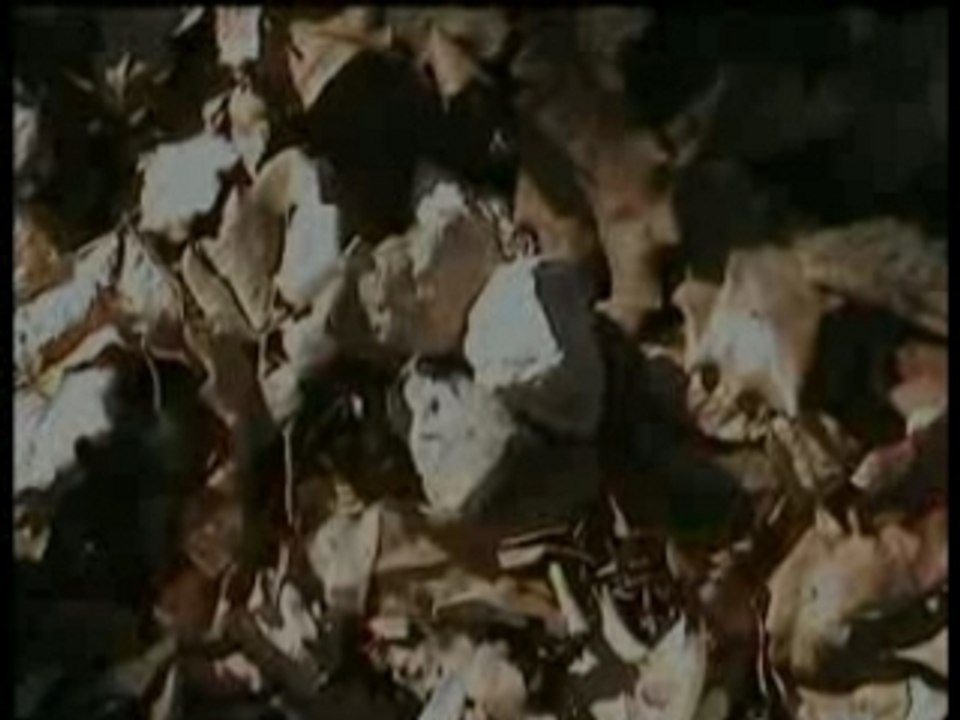 Blair Witch 3 - 2ème partie