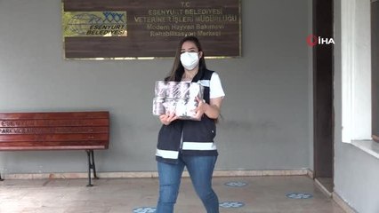 Esenyurt Belediyesi'nden hayvansever annelere sürpriz kutlama