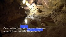 Italie: des ossements de Néandertals retrouvés dans une grotte