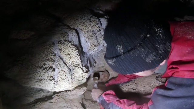 'Exceptional' discovery of Neanderthals in Italian cave: minister