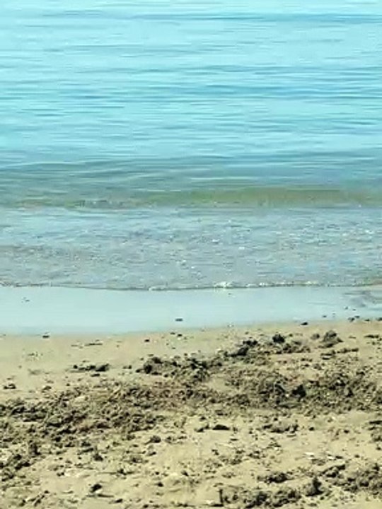 Plage el-batoire