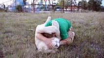 Ce dresseur fait un gros calin à son lion... Belle amitié