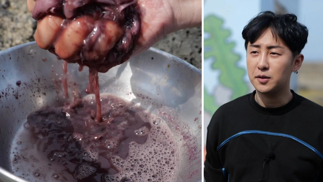 해녀가 찾은 바닷속 천연 보라색...디자이너 만나다 / YTN