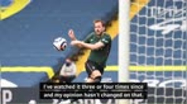 'Kane's goal was onside' - Mason disappointed at VAR decision