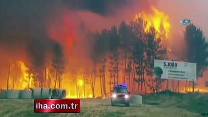 Portekiz'de orman yangını, 62 ölü var!