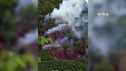 Ünye’de orman yangını: “Her yıl yanıyor, kimler yakıyor?”