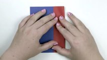 Origami Puffy Heart Instructions - 3D Paper Heart  - Diy - Paper Kawaii