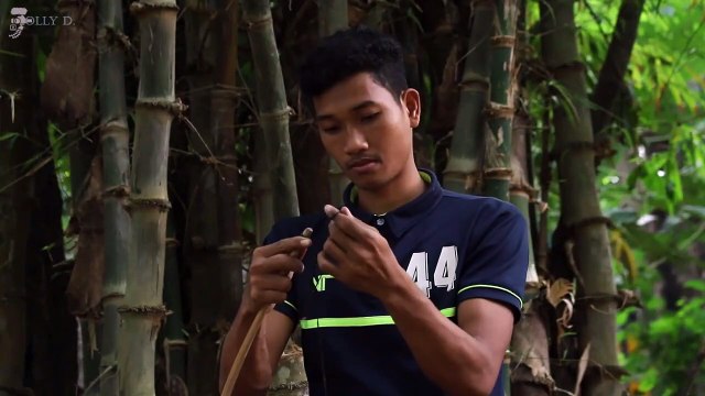 Bamboo Airways Airbus A320 | Cockpit View | St Elmo’S Fire