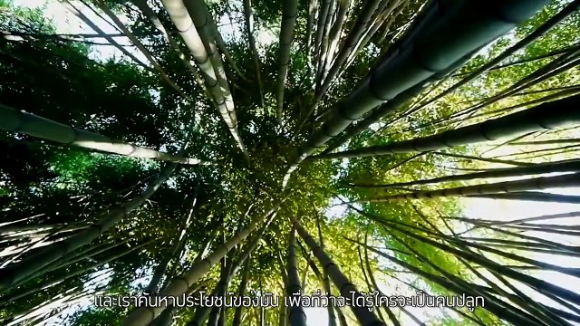 Coming Soon To Bamboo Airways | Bamboo Airways | Roblox Flight