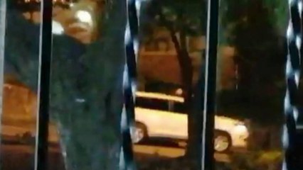 Guardia indígena detuvo a presuntos responsables de ataque desde camioneta en Cali