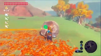 100 Sub Special! Thank You! Botw Glitches And Funny Moments Compiliation Of Thanks