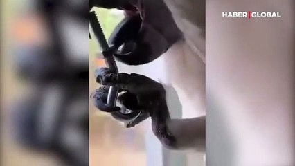 Diliyle vidayı çıkaran papağan kamerada