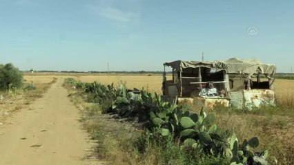 HAN YUNUS - Filistinli kadınlar, topraklarını İsrail'e bırakmamak için ön saflarda mücadele ediyor