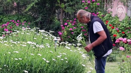 'Yeşil cami'nin botanik bahçesi atmosferi