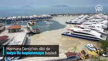 Marmara Denizi'nin dibi de salya ile kaplanmaya başladı