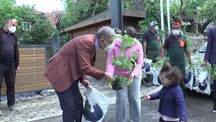 Üsküdarlı annelere Anneler Gününde mor salkım sürprizi