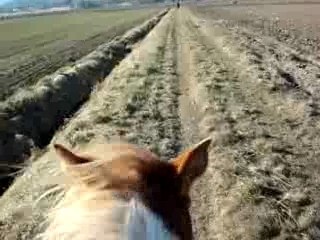 galop derriere opium