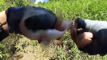 Kalo Mancing Banyak Strike Capek pun Ga Terasa #95