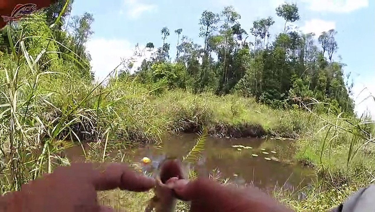 Mancing Ikan Kali ini Endingnya Bikin ngiler #96