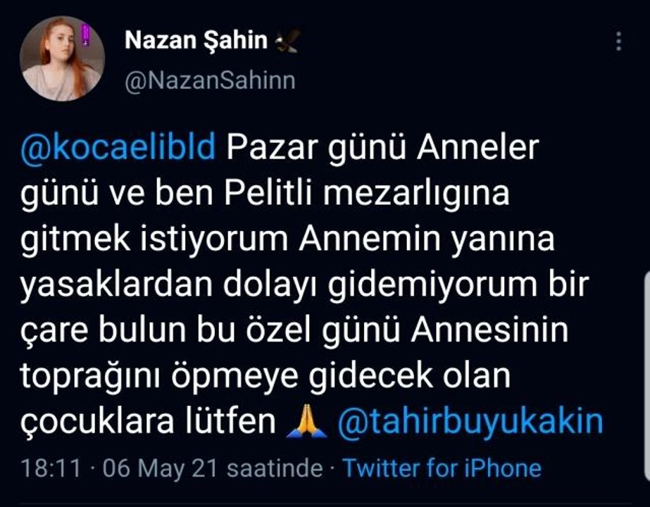 "Annemin mezarını öpmek istiyorum çare bulun" mesajı ile ekipler seferber oldu