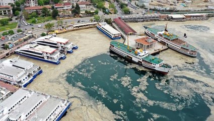 Marmara'da deniz salyası tehlikesi sürüyor: 15 senedir böyle bir durumla karşılaşmadım