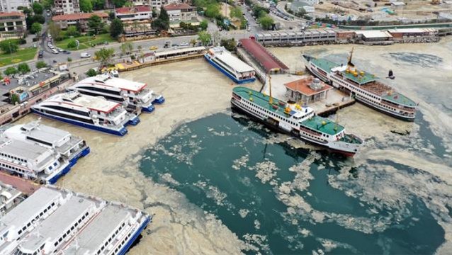 Marmara'da deniz salyası tehlikesi sürüyor: 15 senedir böyle bir durumla karşılaşmadım