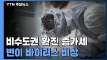 비수도권 신규 확진, 부·울·경 집중...변이 바이러스 비상 / YTN