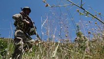 Terör örgütü PKK'ya bir darbe daha