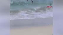Son dakika haber | Havai'de denize giren çocuk köpek balığından böyle kaçtı