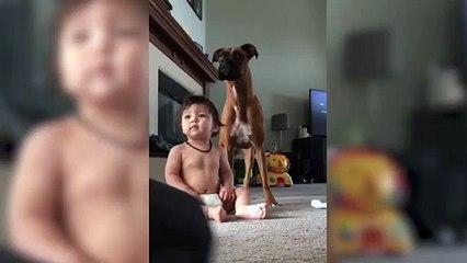 Baloncukları görünce deliye dönen sevimli bebek