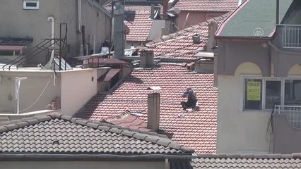 Son Dakika | Apartmanın çatısında çıplak güneşlenen kişi gözaltına alındı