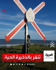 طيار فرنسي يتعرض لـ"المعاكسة" وتحقيقات بالقوات الجوية لمعاقبة الجناة