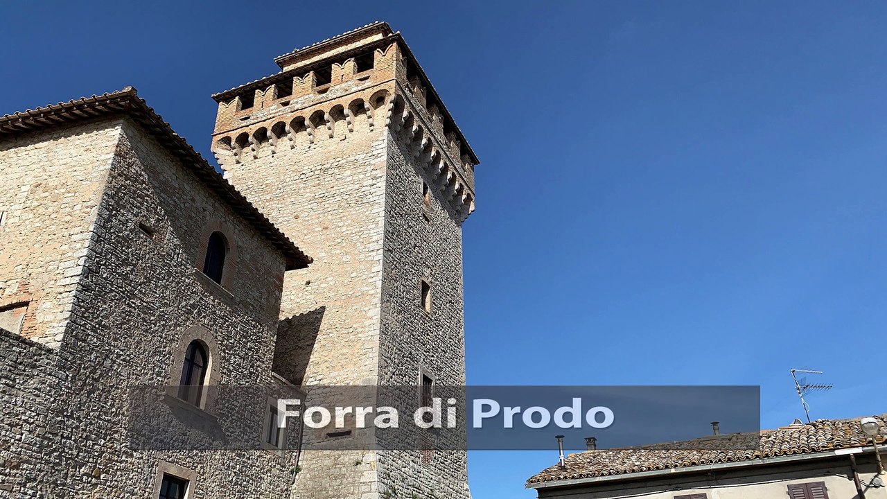 Prodo1_HD