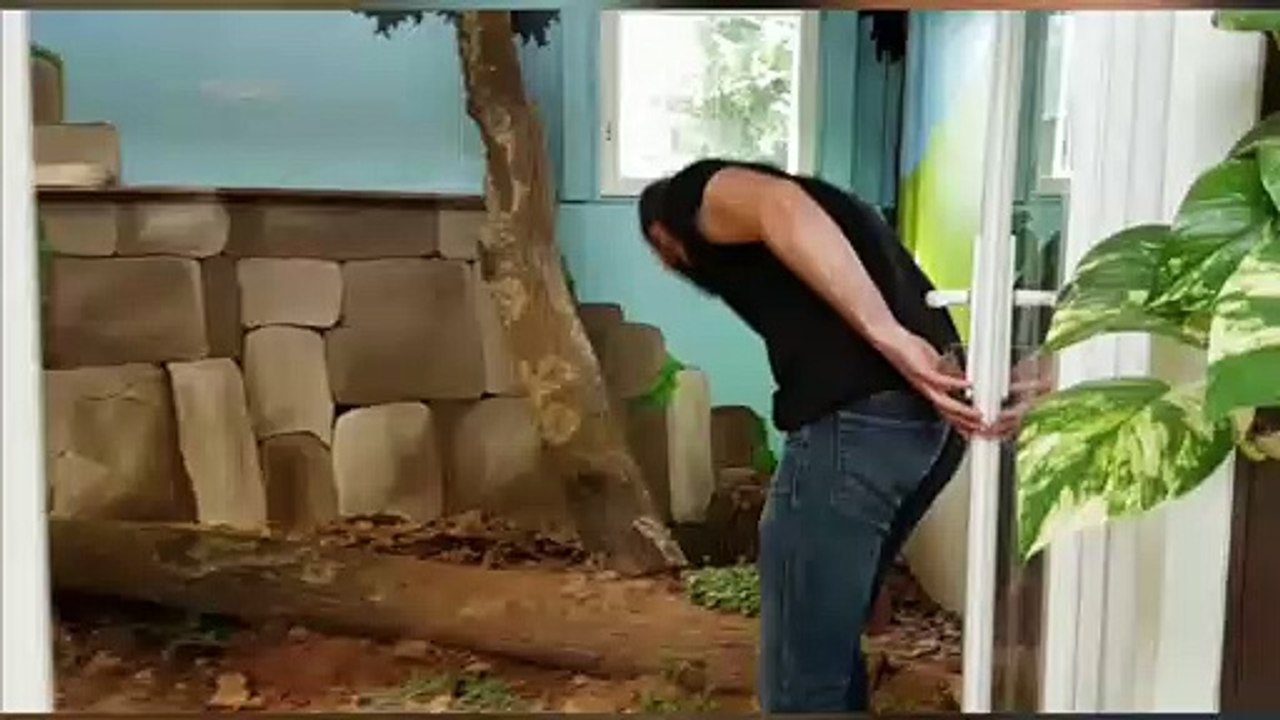 Le nouvel enclos du python Daryl à l'Exotic Park de Lescar