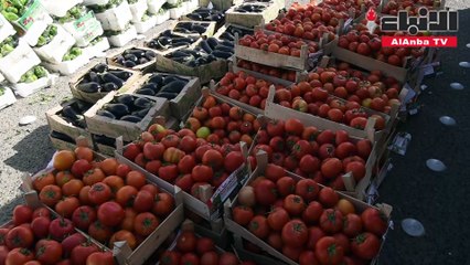 مبرة دشتي وزعت «ماجلة وكسوة العيد» على 400 أسرة متعففة