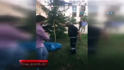 Ağaca tırmanan yılanı itfaiye ekipleri yakaladı