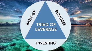 The Importance Of Leverage