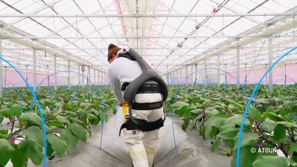 عمل مريح بفضل تقنية الروبوت