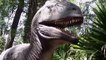 Free Stock Footage Angry Allosaurus Dinosaur