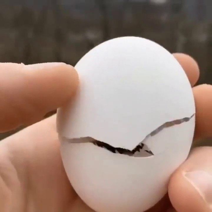 Cutest baby animals Videos Compilation Cute moment of the Animals - Cutest Animals #4