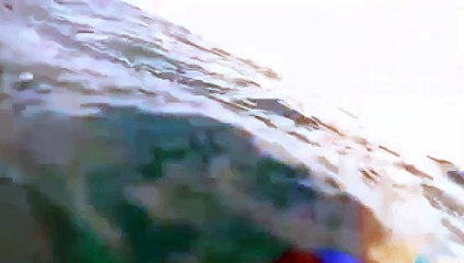 Köpekbalığı dalgıca saldırdı!