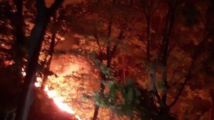 충주 계명산에서 불...경찰, 실화 혐의로 50대 입건 / YTN